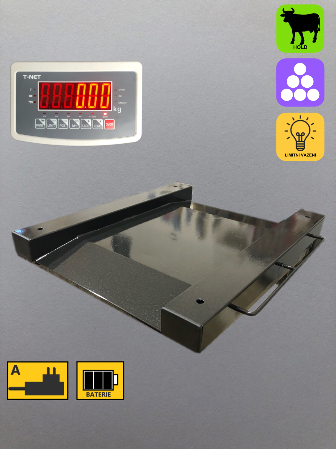 TSCALE VWL-NA do 600 kg / 200 g, 1000x1000 mm.